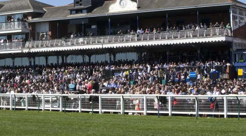 Ayr