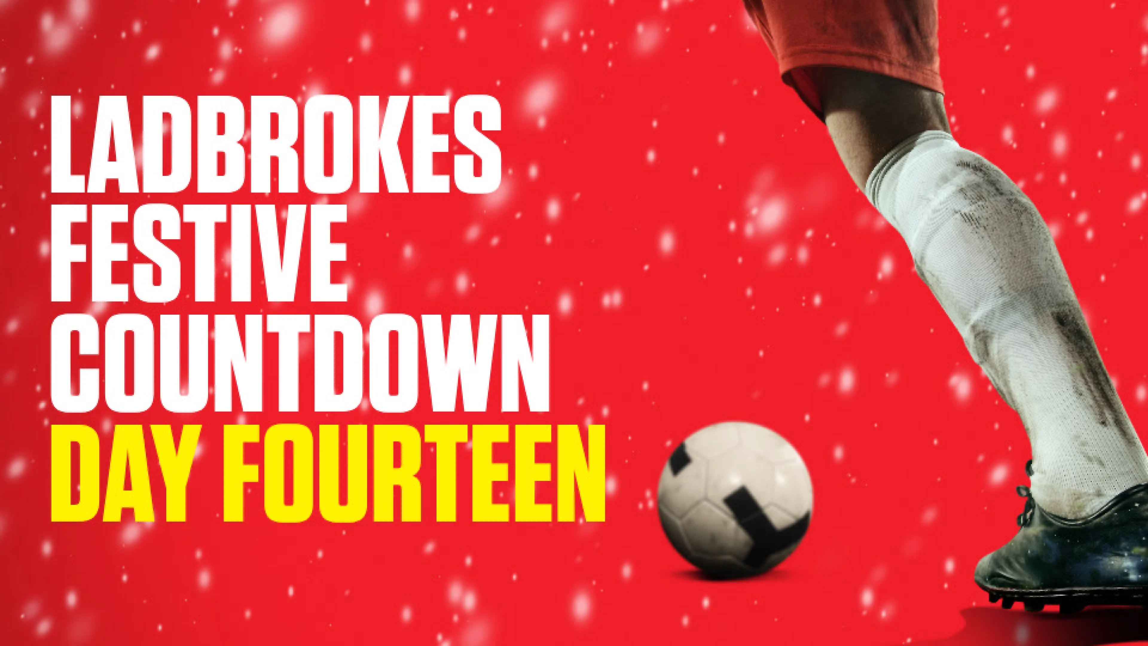 Festive Countdown day 14