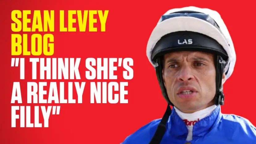 OnS SEO Sports 960x540 SEAN LEVEY BLOG                 I THINK SHE S A REALLY NICE FILLY (UK) 