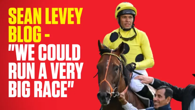 Sean Levey blog