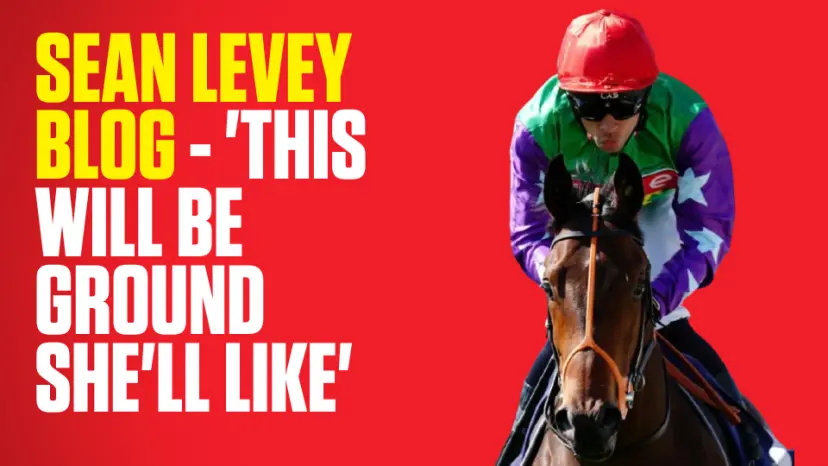 OnS SEO Sports 960x540 SEAN LEVEY BLOG THIS WILL BE GROUND SHE LL LIKE (UK) 