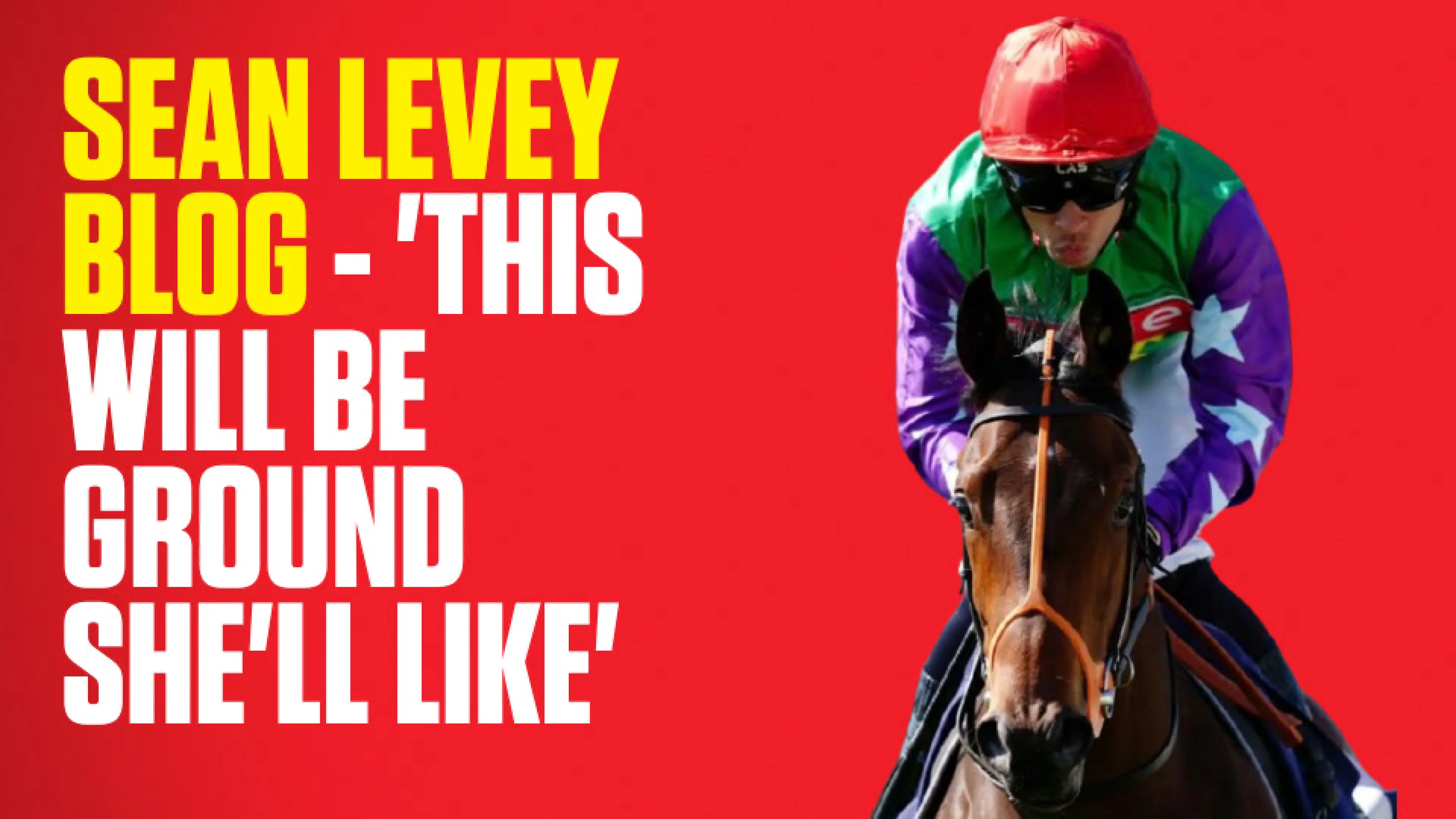 OnS SEO Sports 960x540 SEAN LEVEY BLOG THIS WILL BE GROUND SHE LL LIKE (UK)